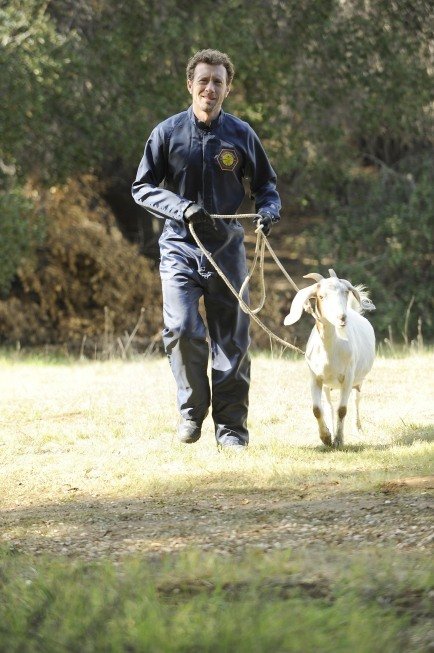 Фото - Ти-Джей Тайн: 434x653 / 76 Кб