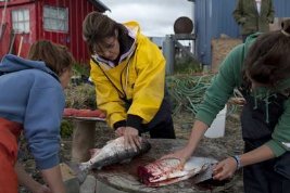 Фото - Сара Пэйлин: 267x178 / 15 Кб