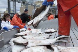 Фото - Сара Пэйлин: 267x178 / 16 Кб