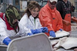 Фото - Сара Пэйлин: 267x178 / 15 Кб