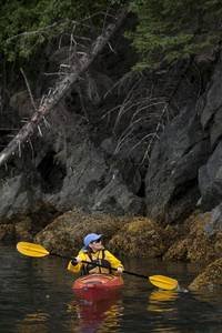 Фото - Сара Пэйлин: 200x300 / 15 Кб