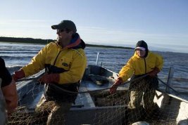 Фото - Сара Пэйлин: 267x178 / 13 Кб