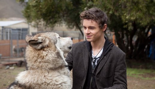 Фото - Каллэн МакОлифф: 517x299 / 34 Кб