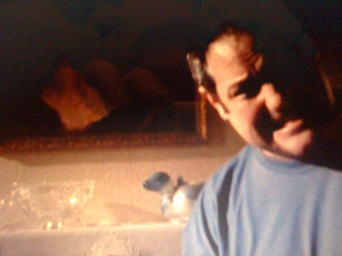 Фото - Ли Дарнелл: 1200x900 / 159 Кб