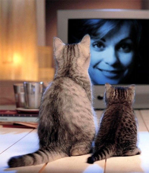 Фото - Тери МакМинн: 518x600 / 62 Кб