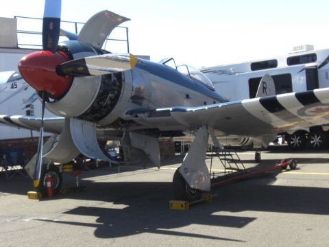 Фото - Клэй Холл: 480x360 / 32 Кб