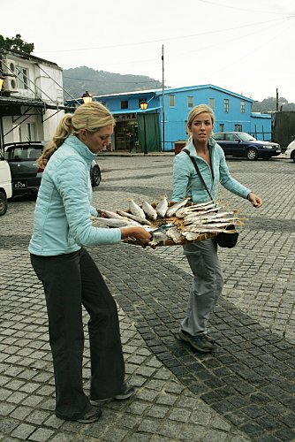 Фото - Кэндис Пеллетье: 334x500 / 57 Кб