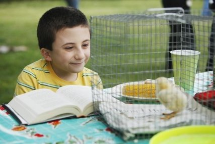 Фото - Аттикус Шаффер: 427x285 / 27 Кб