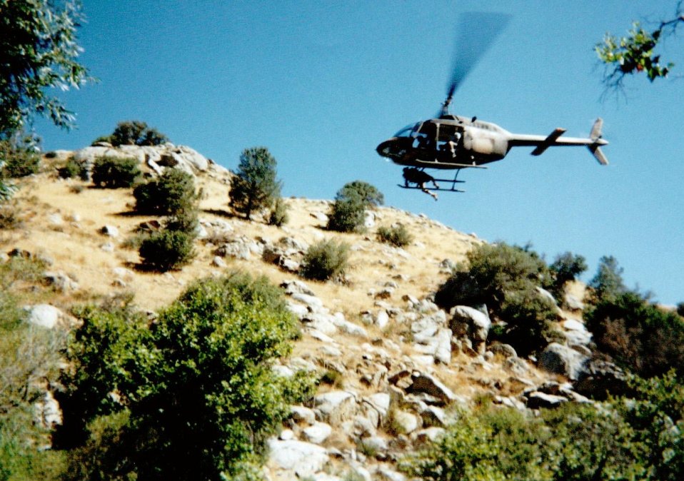 Фото - Би Джей Дэвис: 958x674 / 160 Кб