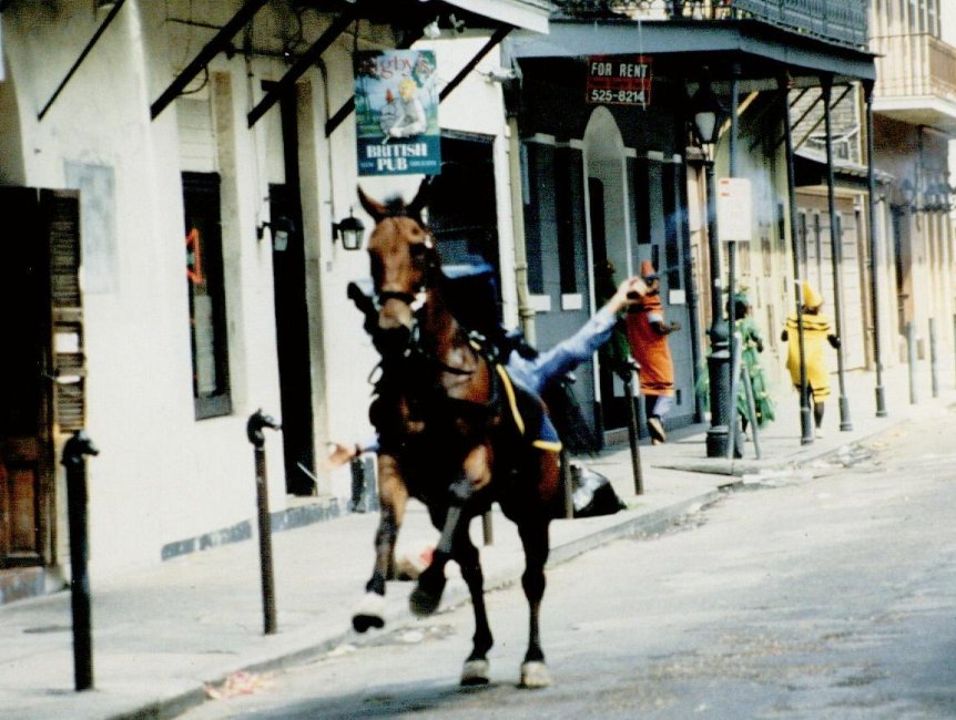 Фото - Би Джей Дэвис: 862x650 / 113 Кб