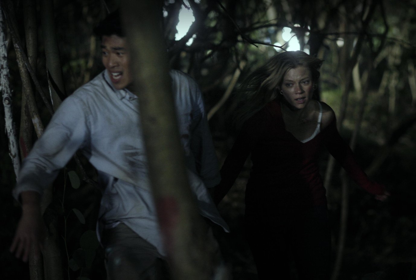 Фото - Эми Смарт: 1378x927 / 103 Кб