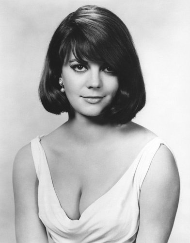 Фото - Натали Вуд: 392x500 / 24 Кб