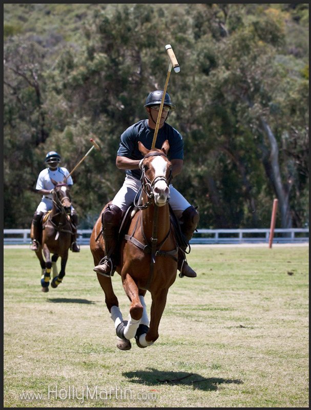 Фото - Ардершир Радпоур: 607x799 / 119 Кб