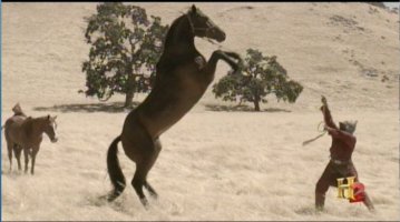 Фото - Ардершир Радпоур: 359x200 / 18 Кб