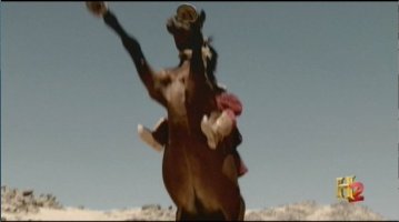 Фото - Ардершир Радпоур: 359x200 / 9 Кб