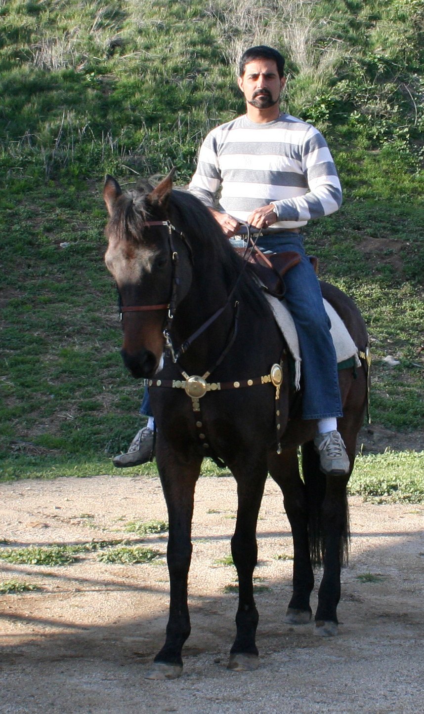 Фото - Ардершир Радпоур: 858x1446 / 318 Кб