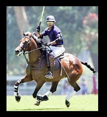 Фото - Ардершир Радпоур: 363x395 / 34 Кб