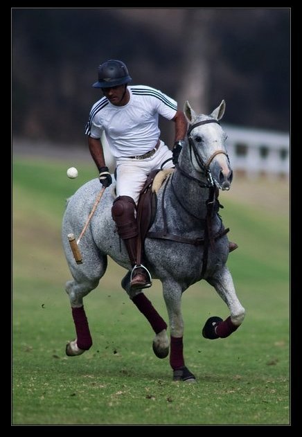 Фото - Ардершир Радпоур: 436x631 / 47 Кб