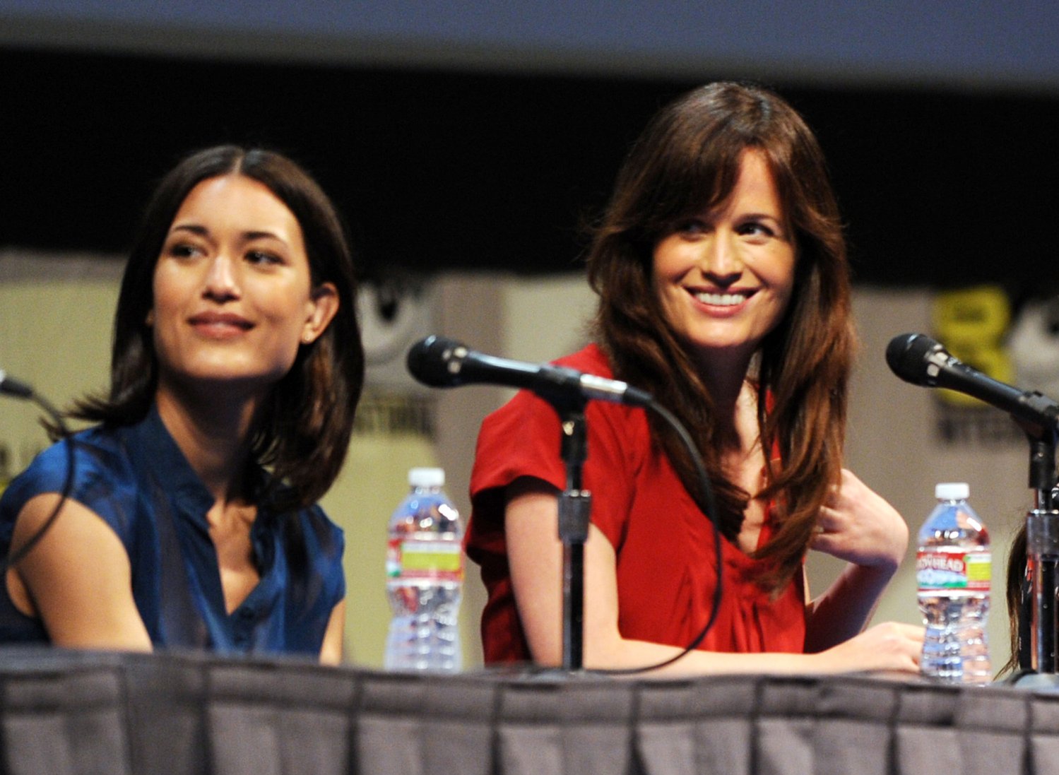 Фото - Элизабет Ризер: 1499x1097 / 217 Кб