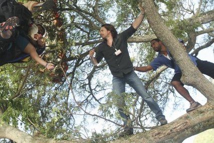 Фото - Синтия Стивенсон: 427x285 / 52 Кб