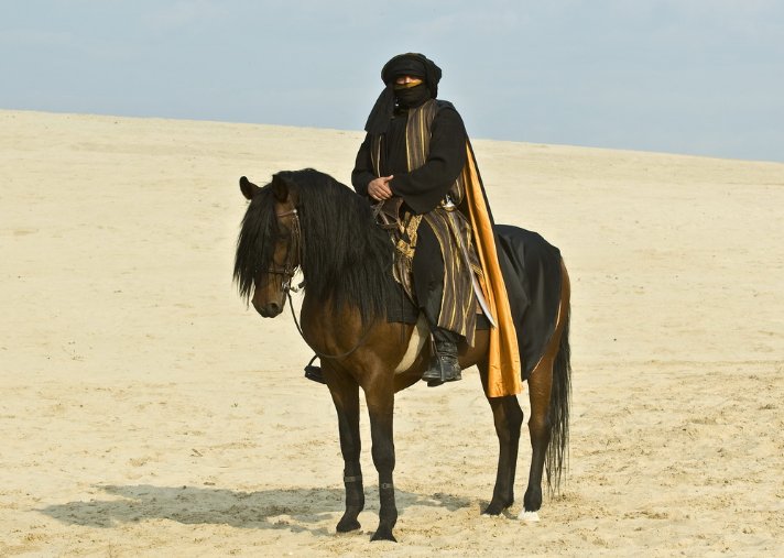 Фото - Бела Унгер: 712x507 / 61 Кб