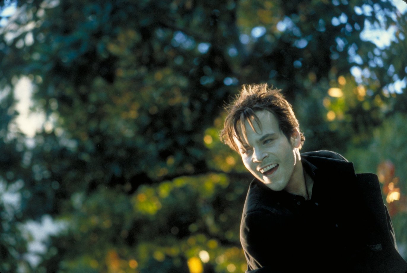 Фото - Стивен Дорфф: 1372x919 / 155 Кб