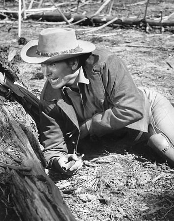 Фото - Майкл Лэндон: 355x450 / 54 Кб