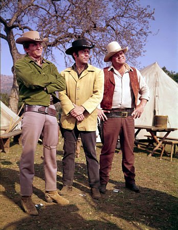 Фото - Майкл Лэндон: 348x450 / 56 Кб