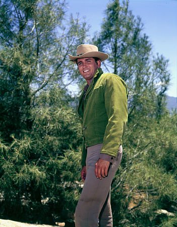 Фото - Майкл Лэндон: 351x450 / 49 Кб