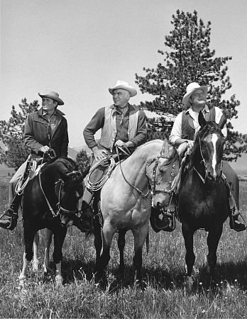 Фото - Майкл Лэндон: 348x450 / 50 Кб