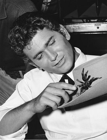 Фото - Майкл Лэндон: 345x450 / 31 Кб