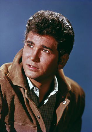 Фото - Майкл Лэндон: 314x450 / 26 Кб