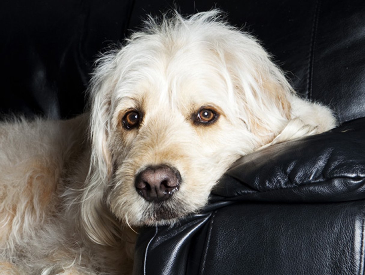 Фото - Бокер: 1215x915 / 150 Кб