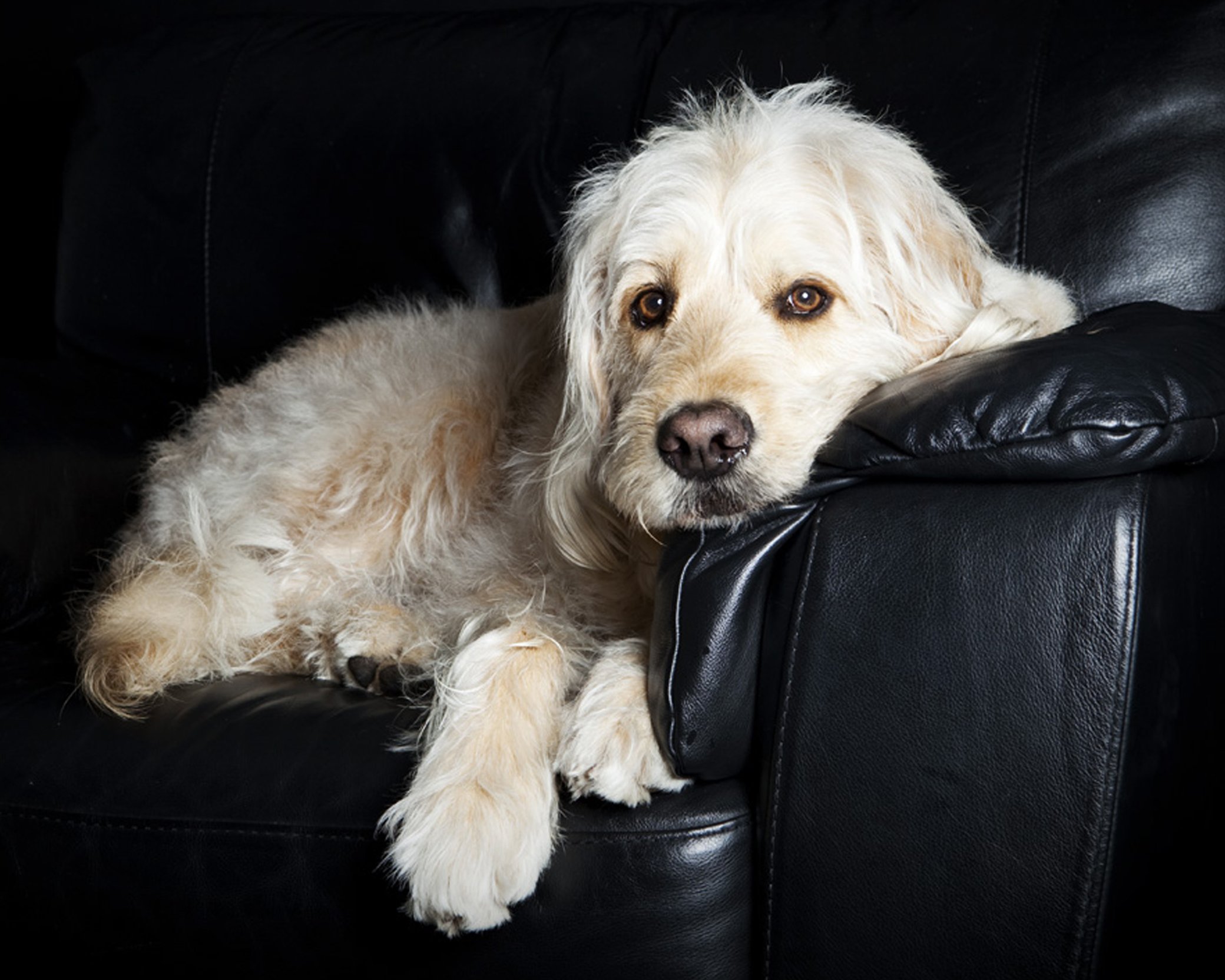 Фото - Бокер: 2080x1664 / 348 Кб