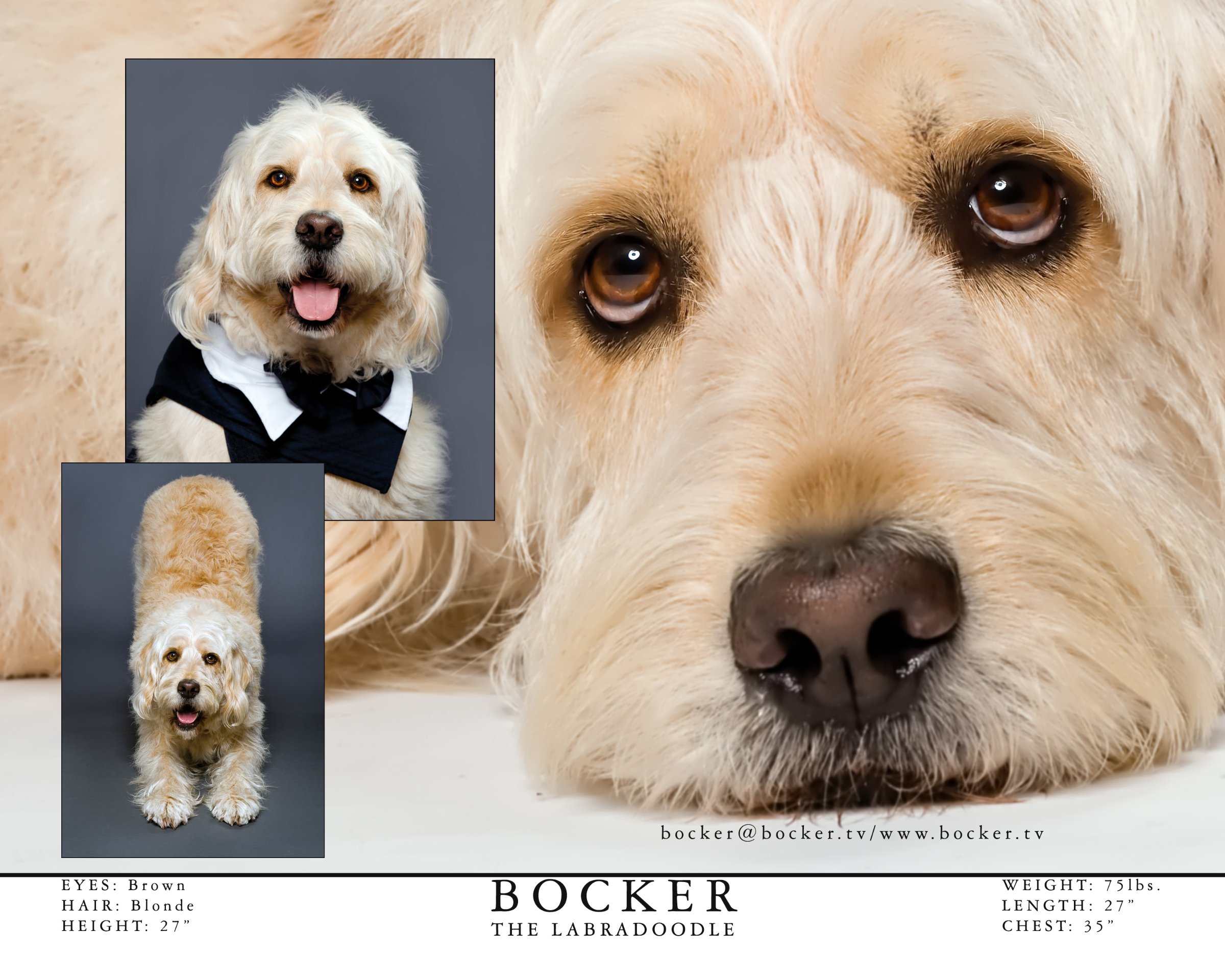 Фото - Бокер: 2400x1920 / 474 Кб