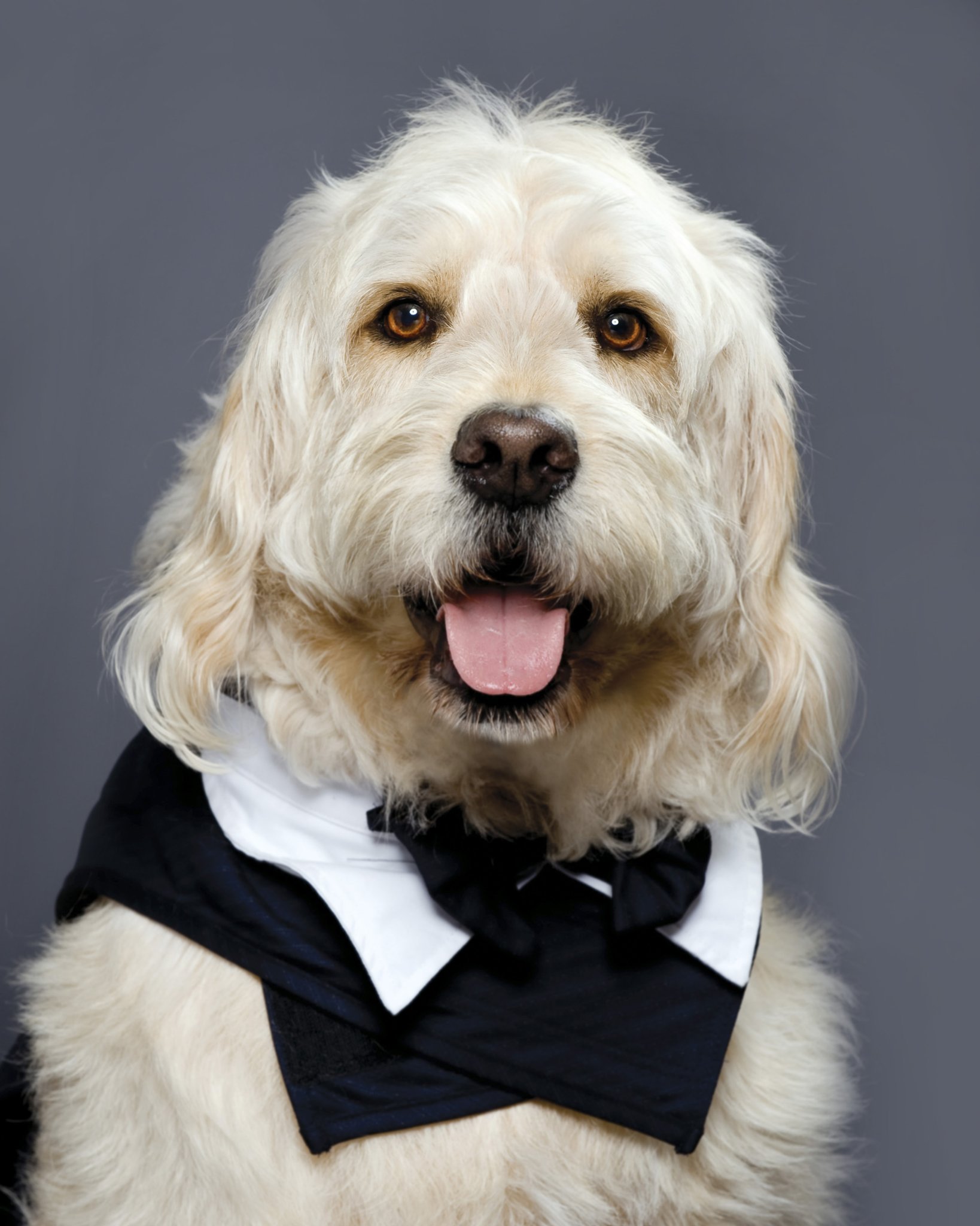 Фото - Бокер: 1638x2048 / 264 Кб