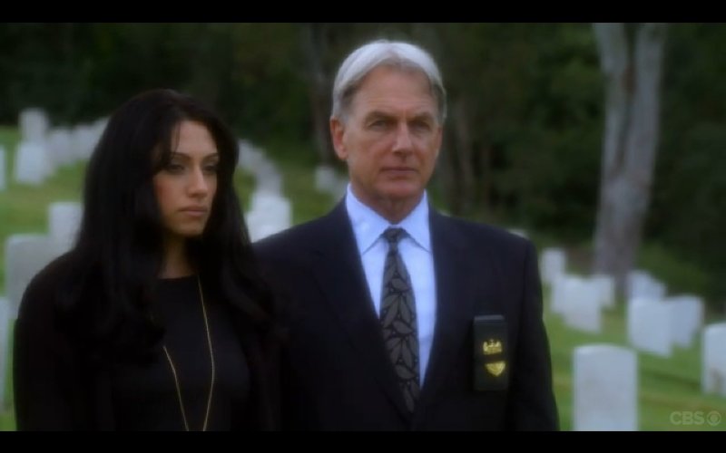 Фото - Темина Санни: 800x500 / 32 Кб