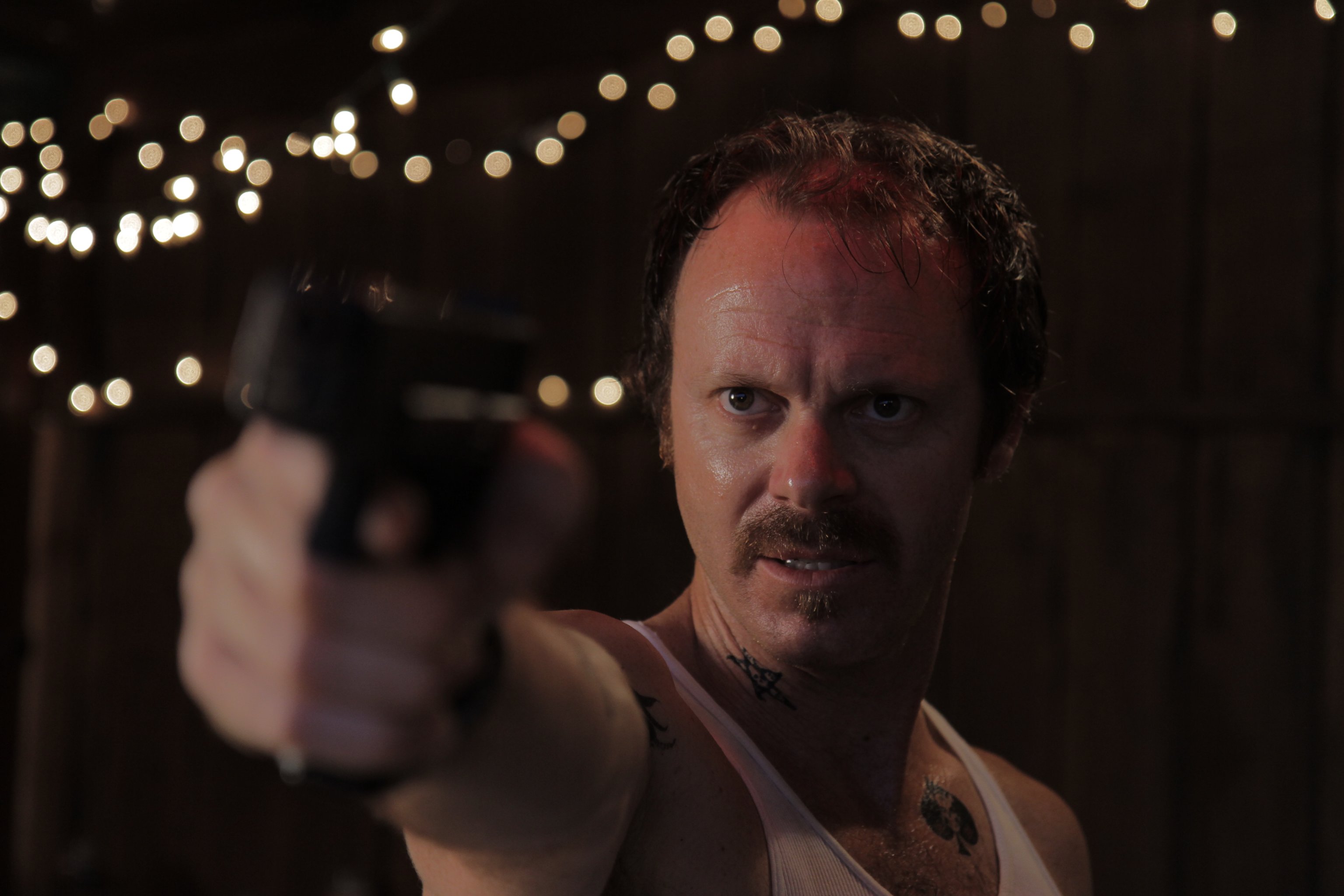 Фото - П.Дж. Маршалл: 3072x2048 / 354 Кб