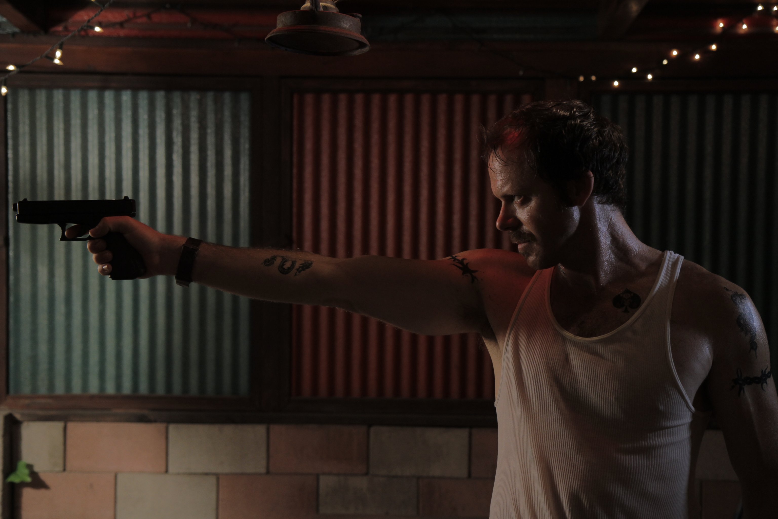 Фото - П.Дж. Маршалл: 3072x2048 / 432 Кб