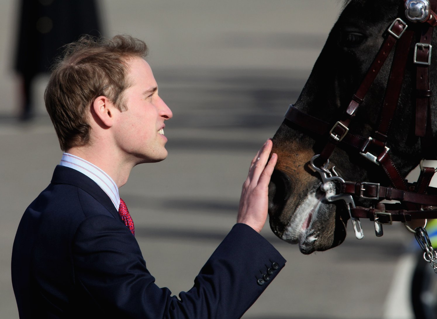 Фото - Принц Уильям: 1495x1091 / 160 Кб