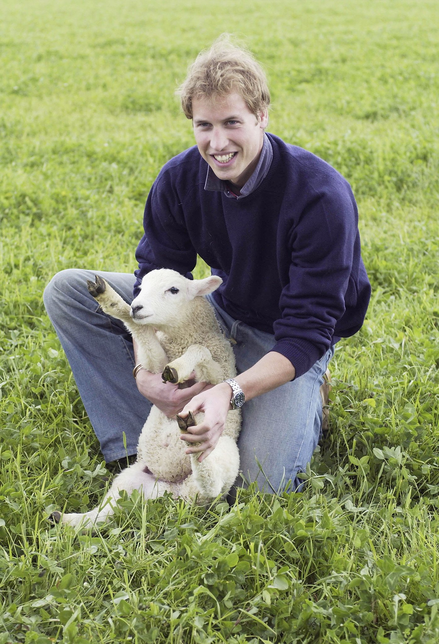 Фото - Принц Уильям: 1396x2048 / 654 Кб