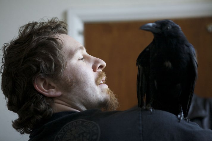 Фото - Энтони ДиБлейси: 713x474 / 38 Кб