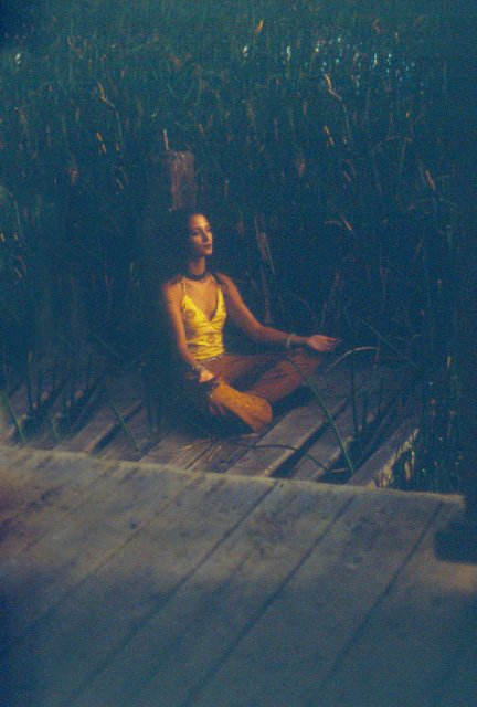 Фото - Индра Патель: 432x640 / 49 Кб