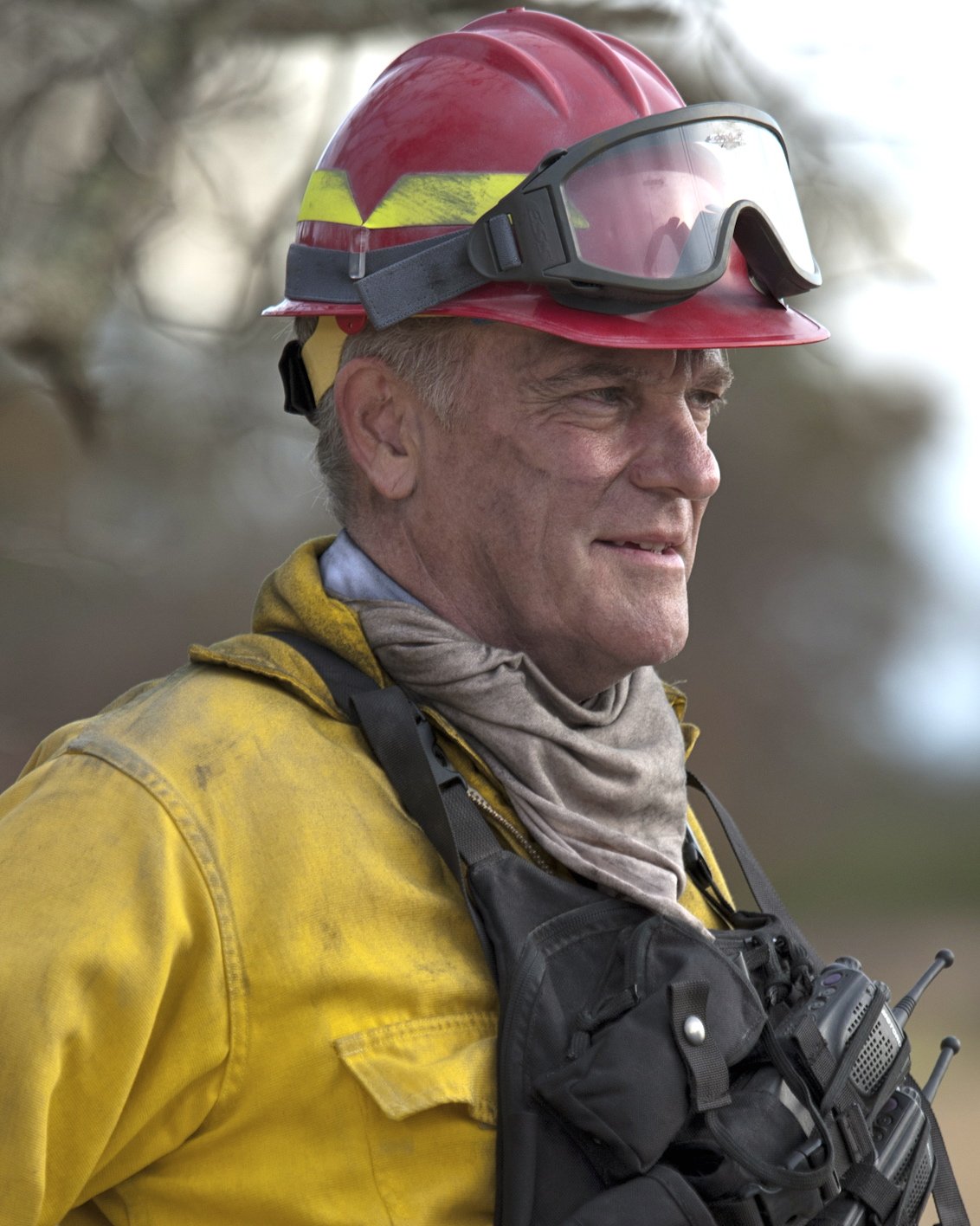 Фото - Брюс МакКинон: 1132x1416 / 206 Кб