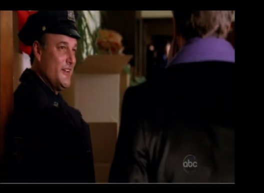 Фото - Рон Роджи: 528x387 / 16 Кб