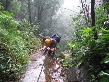 Фото - Арло Хэмпхилл: 375x281 / 46 Кб