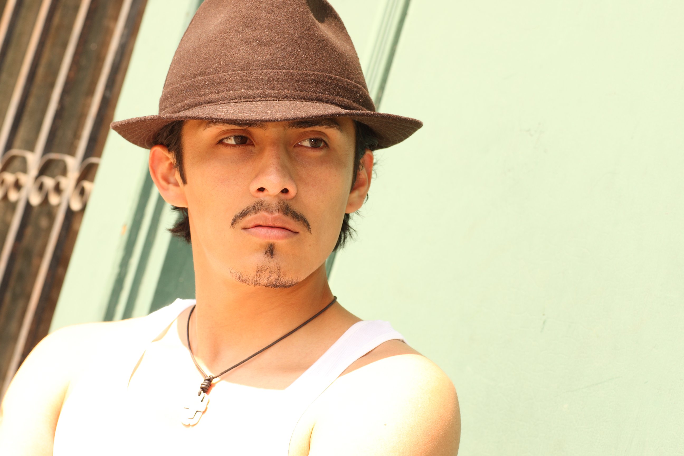 Фото - Пол Алайо: 2592x1728 / 350 Кб