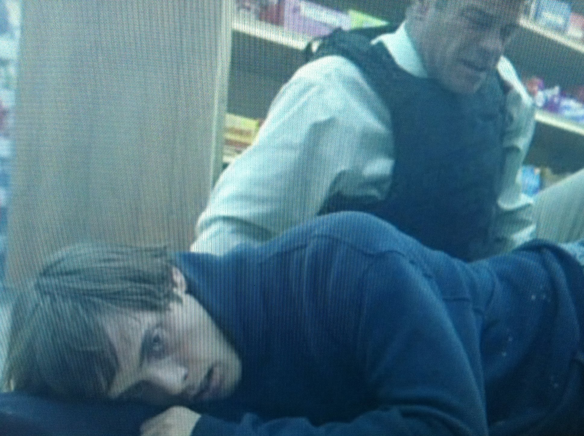 Фото - Джастин Мортеллити: 1936x1446 / 766 Кб