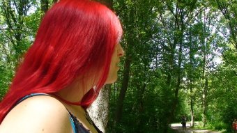 Фото - Эмили Скули: 340x191 / 25 Кб