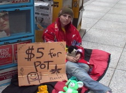 Фото - Эмили Скули: 442x324 / 37 Кб